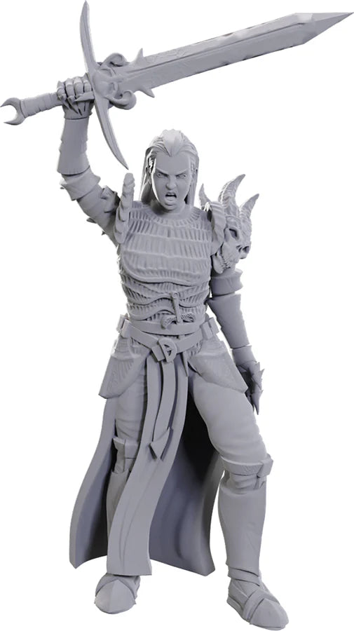 Nolzur's Marvelous Miniatures: Blackguard