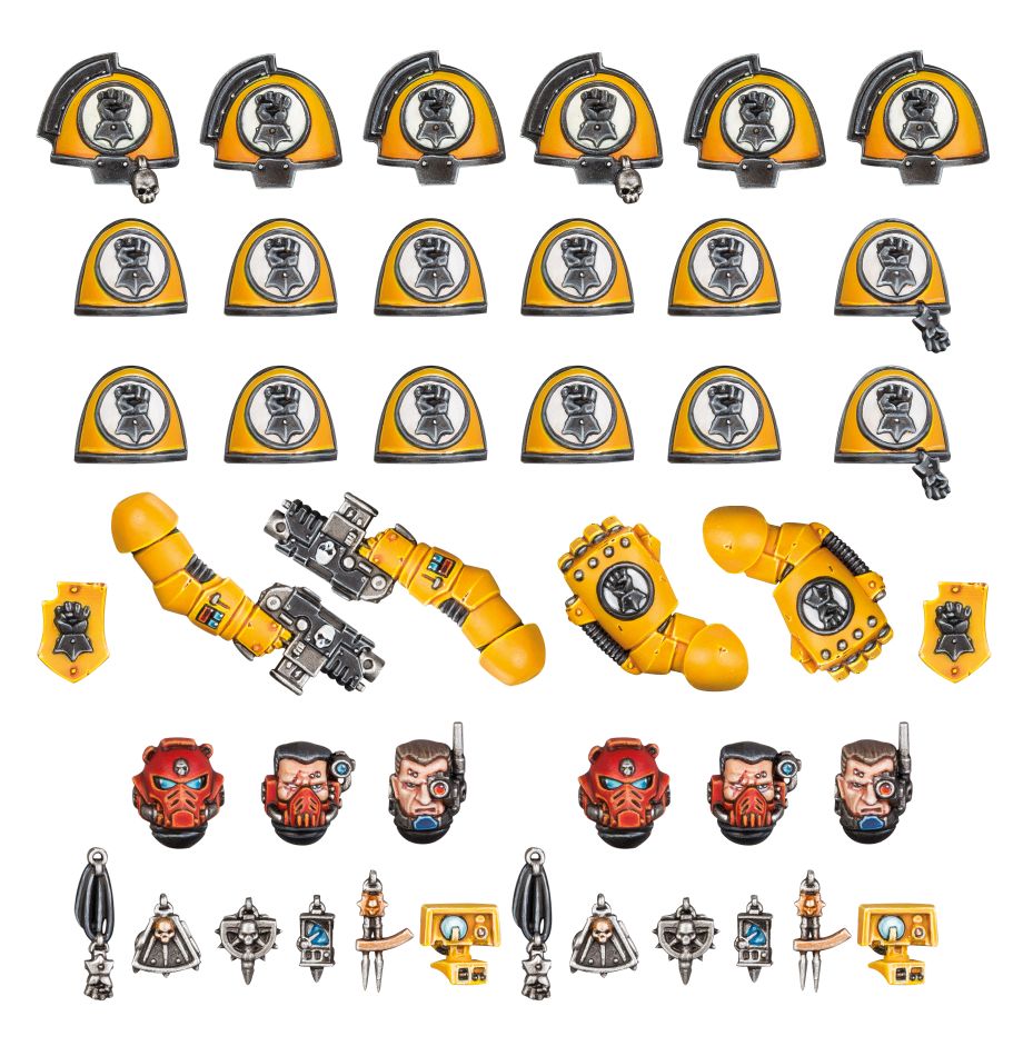 Imperial Fists—Primaris Upgrades & Transfers